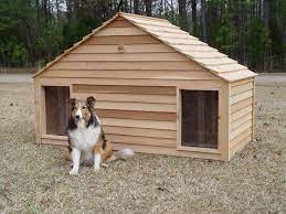Large Duplex Two Door Dog House Dog