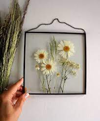 Daisy Wall Pressed Flower Art