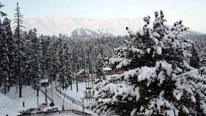 Heavy snowfall in Jammu & Kashmir; List of flights cancelled from Srinagar | Mint