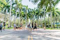 Dog Park de Miami | Horario, Mapa y entradas 3