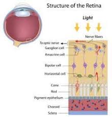 retinal disorders optometrist in