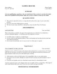 Free Resume Templates       Best Resumes Endorsed The Professional     Looking for Resume Services  how to write a professional resume or professional  resume writing in San Diego  California Our cheap resume writing service    