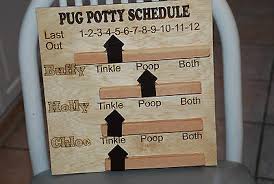 Custom Dog Potty Bathroom Schedule Log Chart Record For Dog Walker Pug Or Lab Ebay