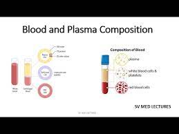 blood and plasma composition you