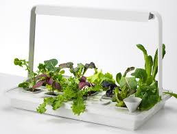 Ikea Moves Into Indoor Gardening With