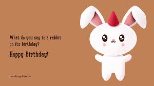 It was icing on the cake. What Do You Say To A Rabbit On Its Birthday Hoppy Birthday Learn Funny Jokes