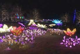 lewis ginter gardenfest of lights