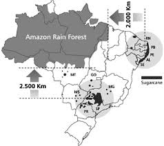 Sugarcane Growing Areas In Brazil 9 Download Scientific Diagram