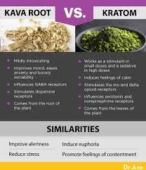 kava benefits vs dangers including