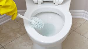 clean mineral stains from your toilet