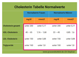Blutwerte als tabelle (pdf, 23 kb), kostenloser download; Cholesterinwerte Tabelle Normalwerte Manner Und Frauen Dr Stephan
