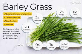 barley gr nutrition facts and health