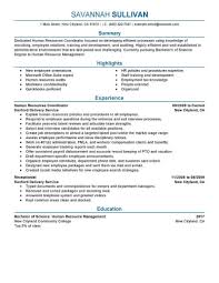Curriculum vitae example tips for writing your cv Amazing Human Resources Resume Examples Livecareer