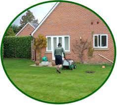 Professional Lawn Care In