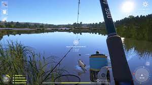Here are found wild carp, silver carp, sichel, bighead carp, volga zander or rudd, and if youre lucky, your trophy may be a sterlet or sturgeon. Russian Fishing 4 Sura River Wild Carp 7 989 Kg