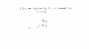 pao2 to fio2 ratio you