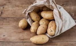 Is a russet potato a floury potato?