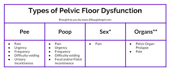 what is pelvic floor dysfunction