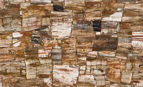 Petrified Wood Retro Granite