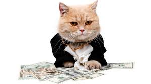 Image result for fat cat money