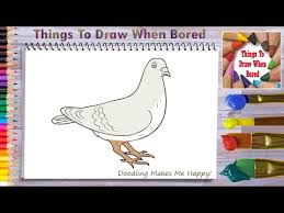 how to draw a pigeon easy step by step