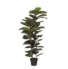 The branches of this faux palm leaf plant may be shaped for that personal touch. Artificial Rubber Tree Blooming Artificial