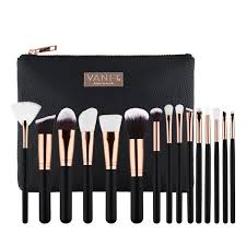 vani t makeup brush collection