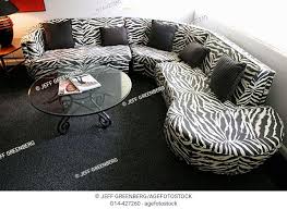 zebra skin pattern sofa in wellborn