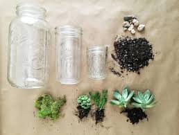 Succulent Plants In Mason Jars How To