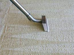 carpet wiser carpet cleaning reviews