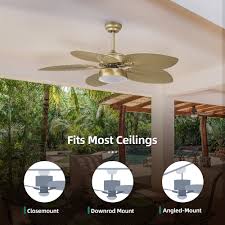 dextrus 52 inch tropical ceiling fans