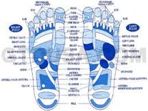 Acupressure Points Chart For Height Increase
