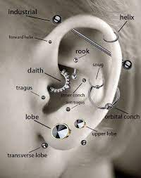 12 top ear piercing types your guide