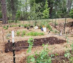 How To Start A Flower Bed