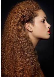 Her hair was (the girl's black curly) hair shone like an eclipsed sun —carol ascher. Copper Blonde Kinky Curly Human Hair Price From Market Jumia In Nigeria Yaoota