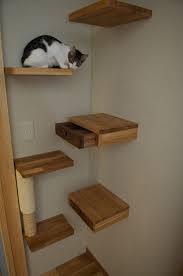 cat wall shelves cat room cat shelves