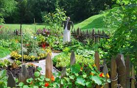 5 tips for a prettier vegetable garden