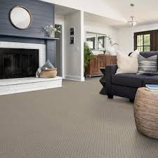 pet friendly berber carpet