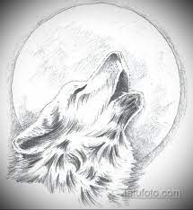 Воющий волк рисунок