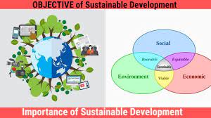 sustainable development learn ey