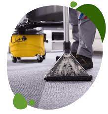 carpet cleaning boston green carpet