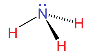 Explain the structure of ammonia class 11 chemistry CBSE