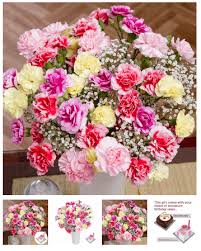 Discover beautiful & affordable flowers online. Cheap Flower Delivery Under 20 Policenz