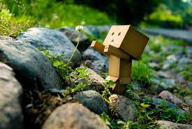danbo wallpapers for mobile