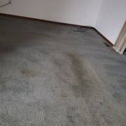 mr picky carpet cleaning 42 photos