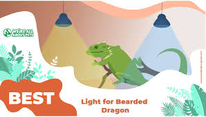The 5 Best Lights Uvb Bulbs For Bearded Dragons We Re All About Pets