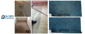 carpet cleaning services in cary il