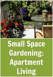Small Space Gardening Apartment Living