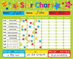 Precise Reward Charts For Behaviour Star Chart Learning