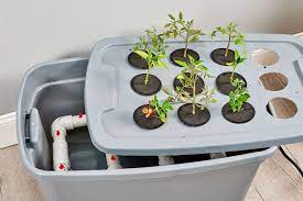 how to choose a diy hydroponic system
